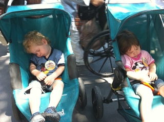 Pooped