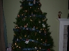 Our tree again