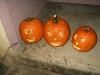 Our first pumpkins