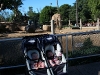 Babies at the zoo
