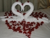 Awww...love swans (Night 2 towel art)